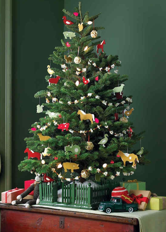 Vrai Sapin de France Nordmann